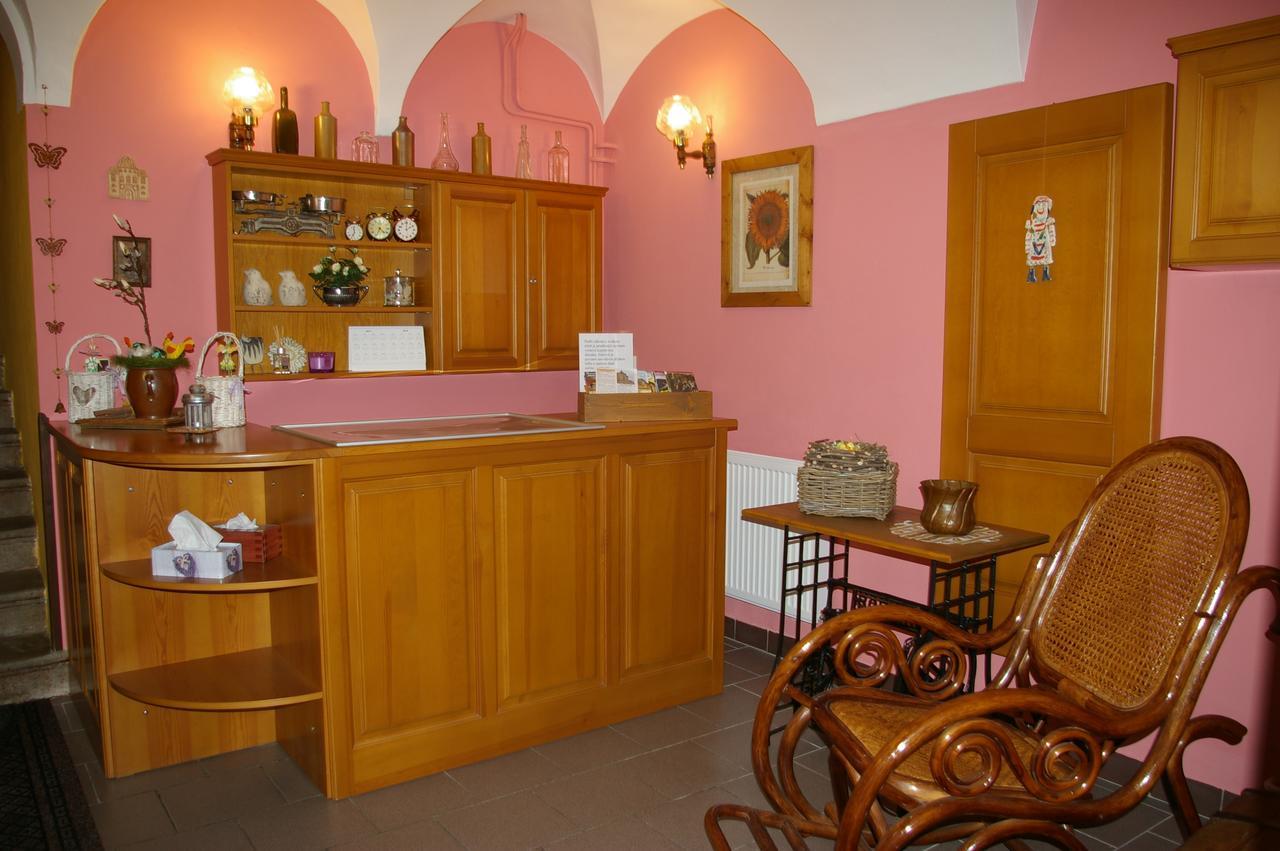 Penzion Koudela Ceska Kamenice Exterior foto