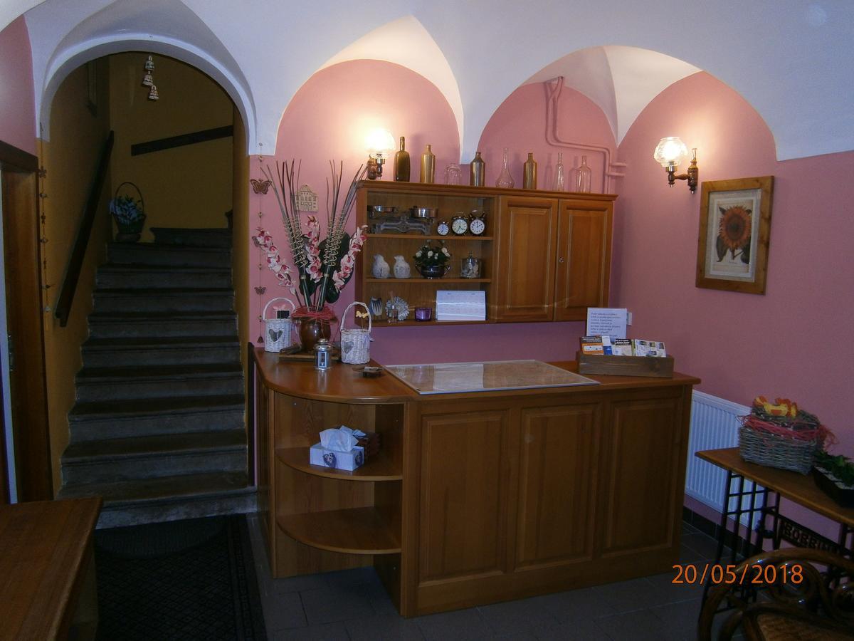 Penzion Koudela Ceska Kamenice Exterior foto
